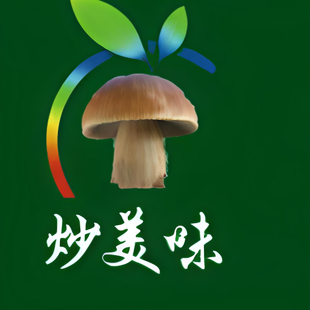 炒美味-野生菌铁板炒饭