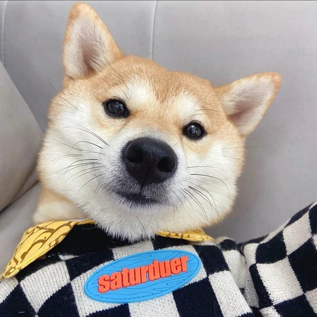 灰