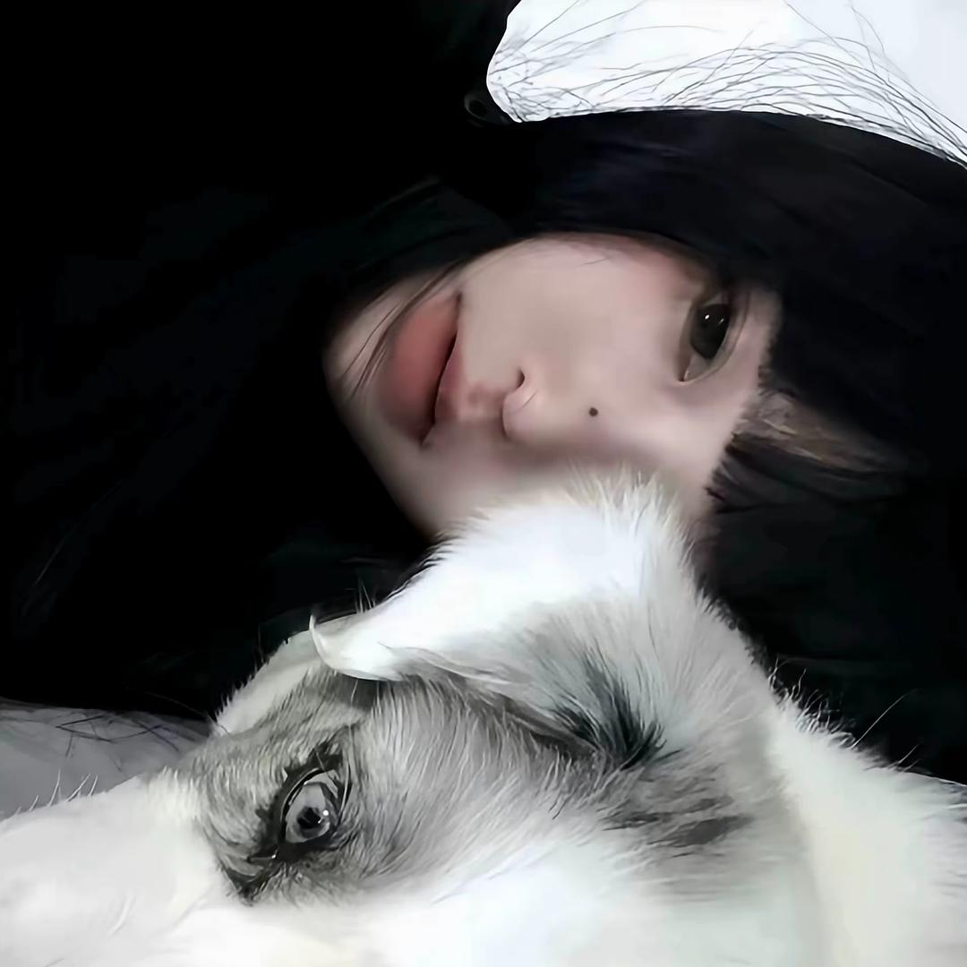 阿茶