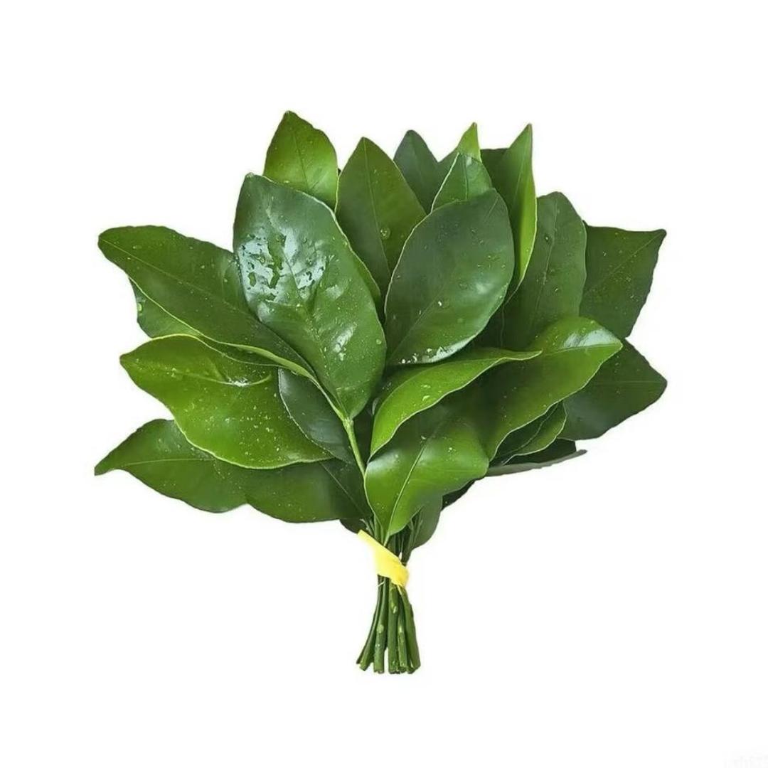 很河狸º¹⁶