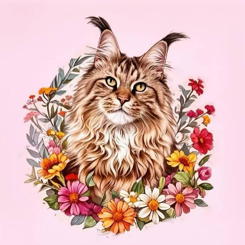 美丽袁姨的缅因猫