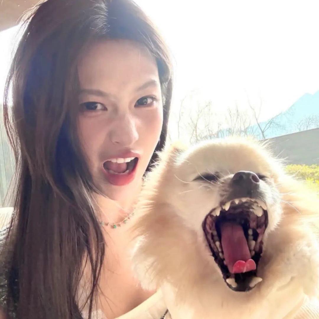 我不吃葱