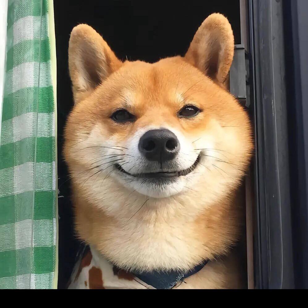 小天宠物生活
