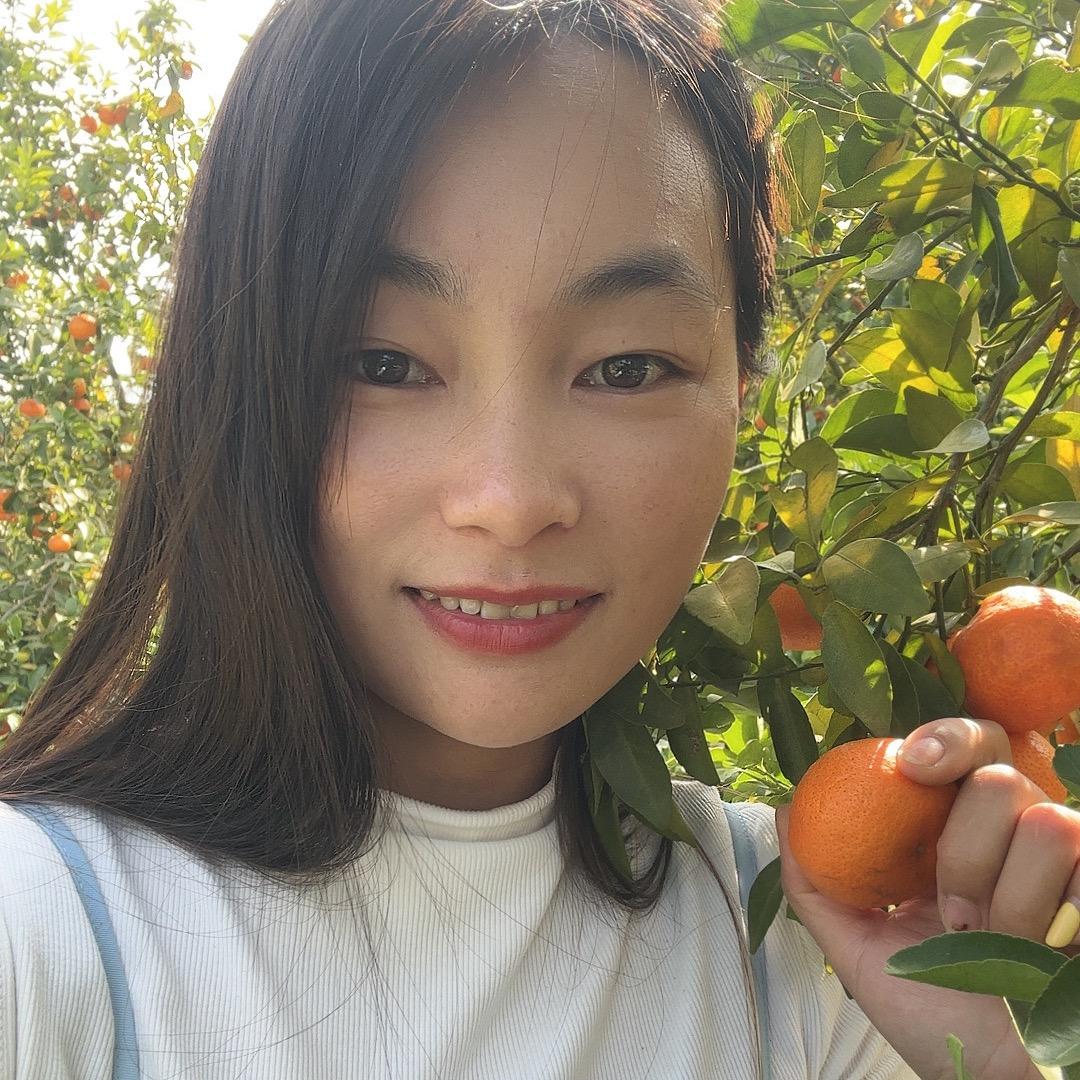 阿青～云滇传媒