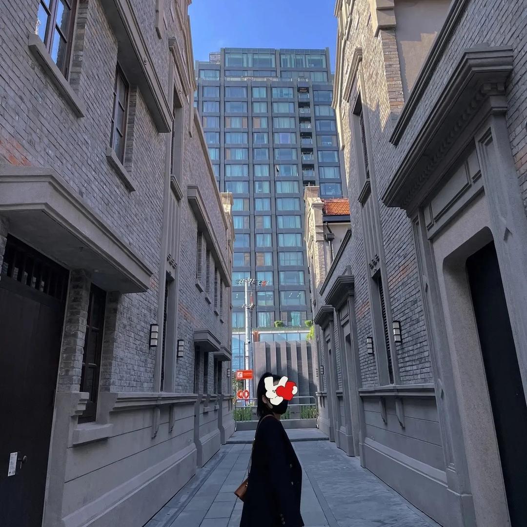 蝴蝶咨询vlog