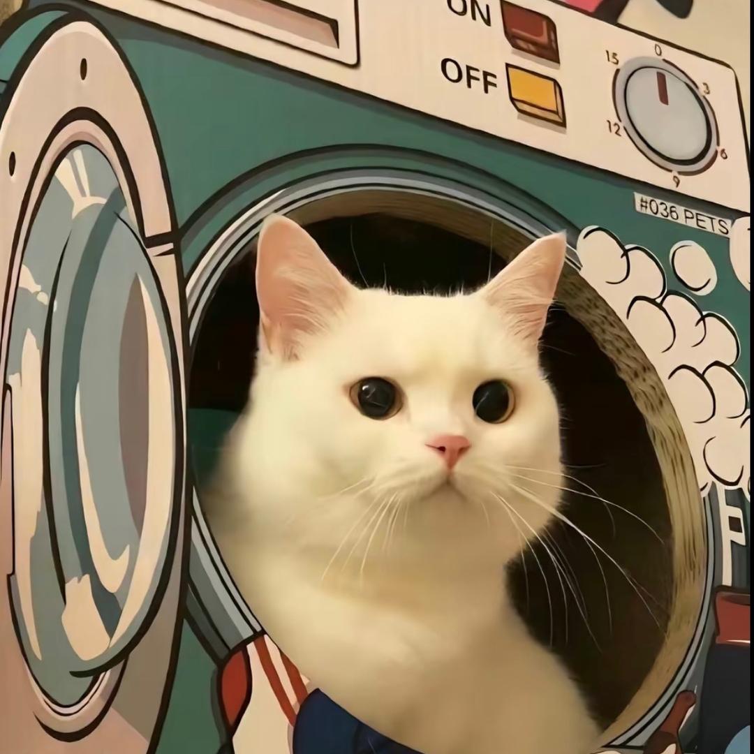 华华华i