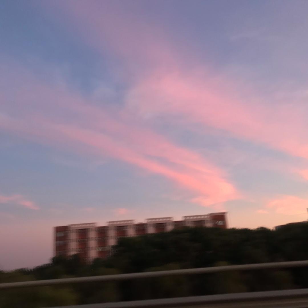 一往情深