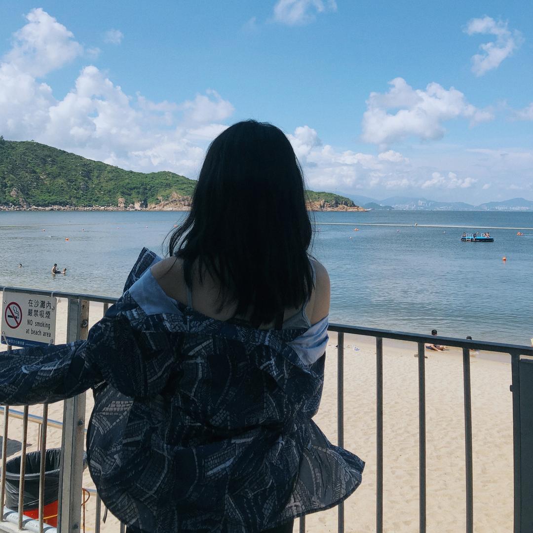 小杨不是小羊