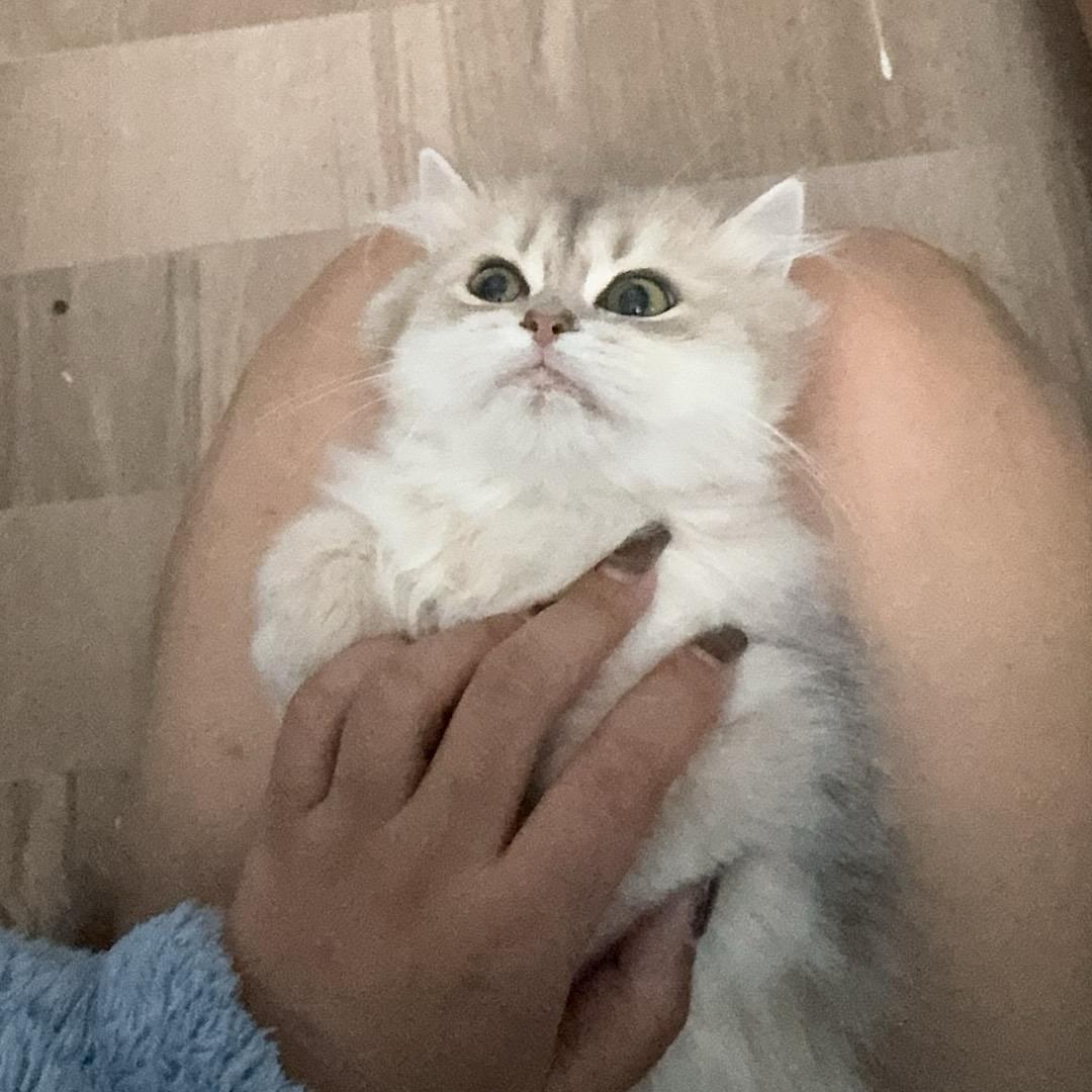 小梁同学👩‍🎓