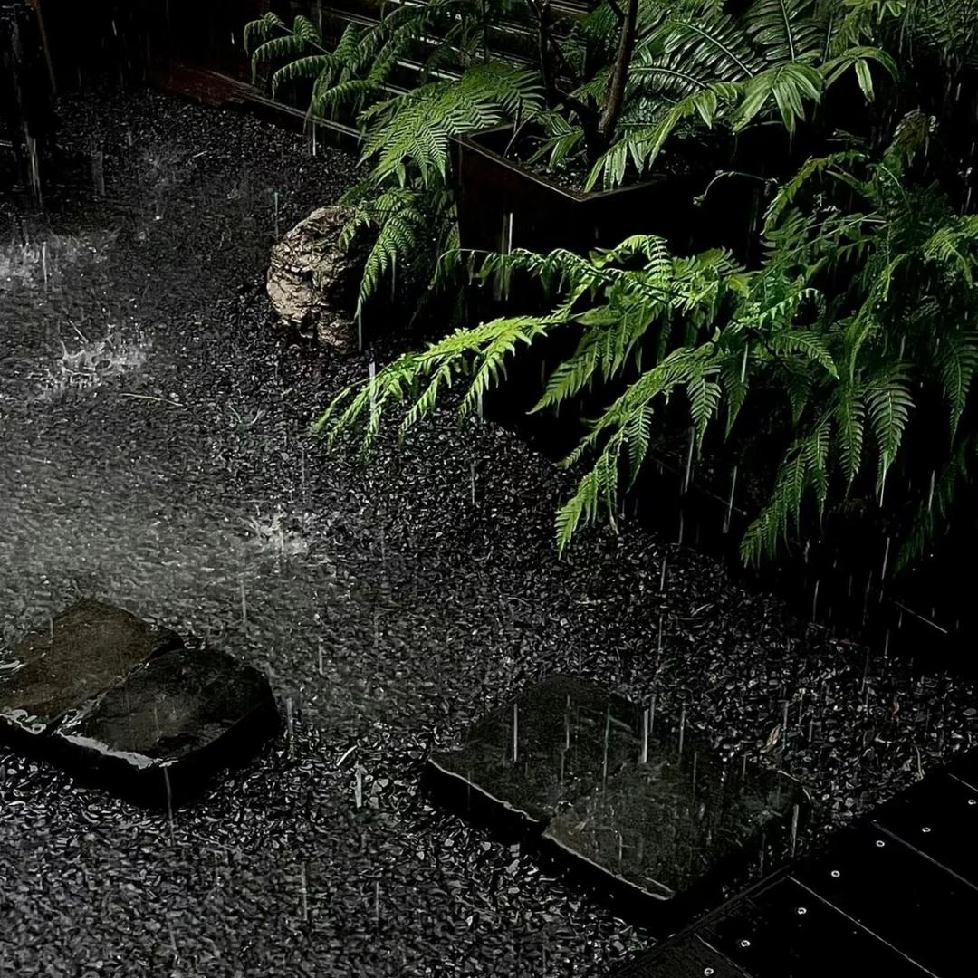 枫叶红111