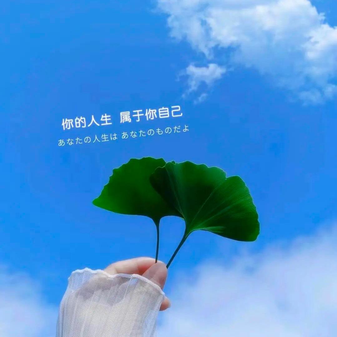 轻舞飞扬🍀