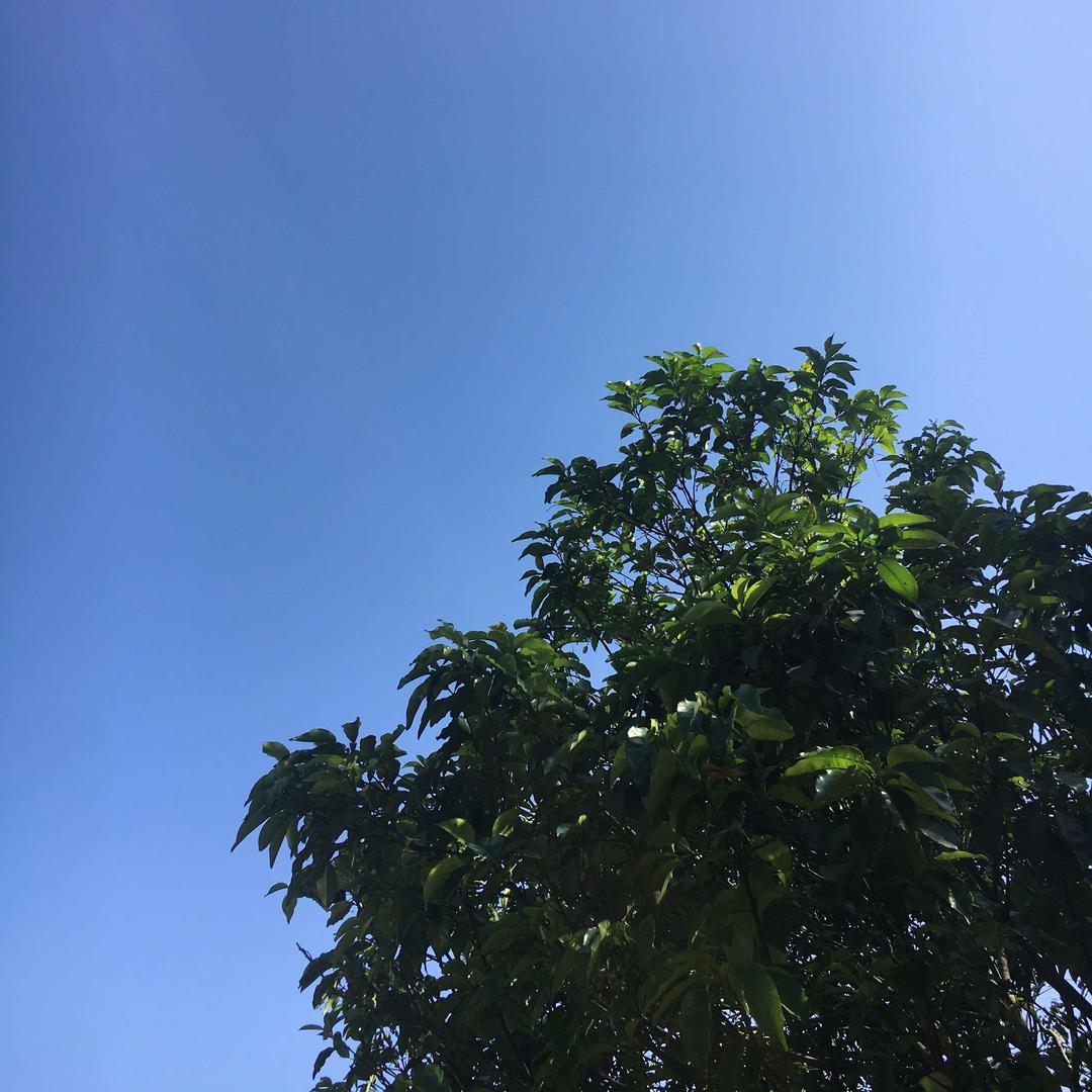 欢乐斗地主鸿兴
