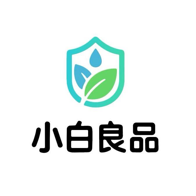 洗衣液工厂SXBLP