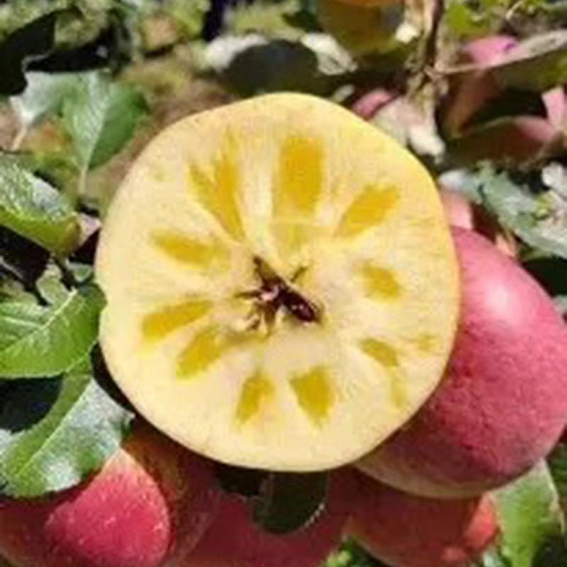 云南沃捷供应链严选铺子