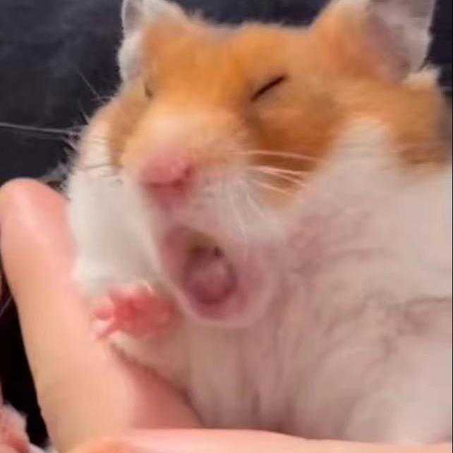 鉴赏大师