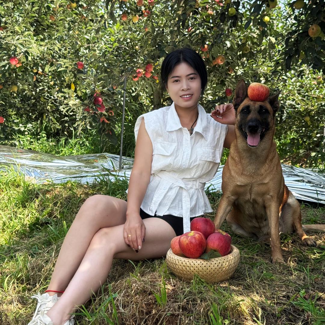 刘琴文化传媒有限公司