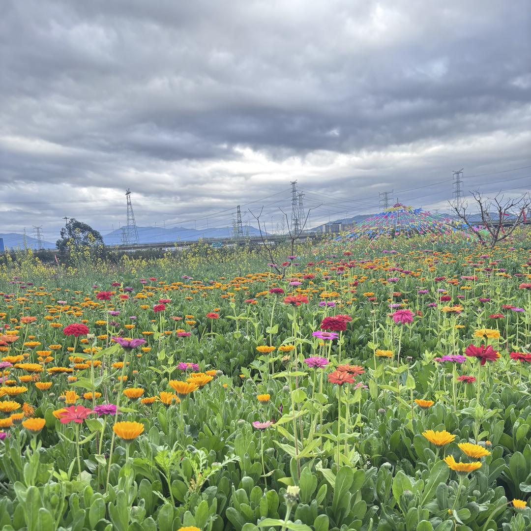 聚宝盆多元品严选