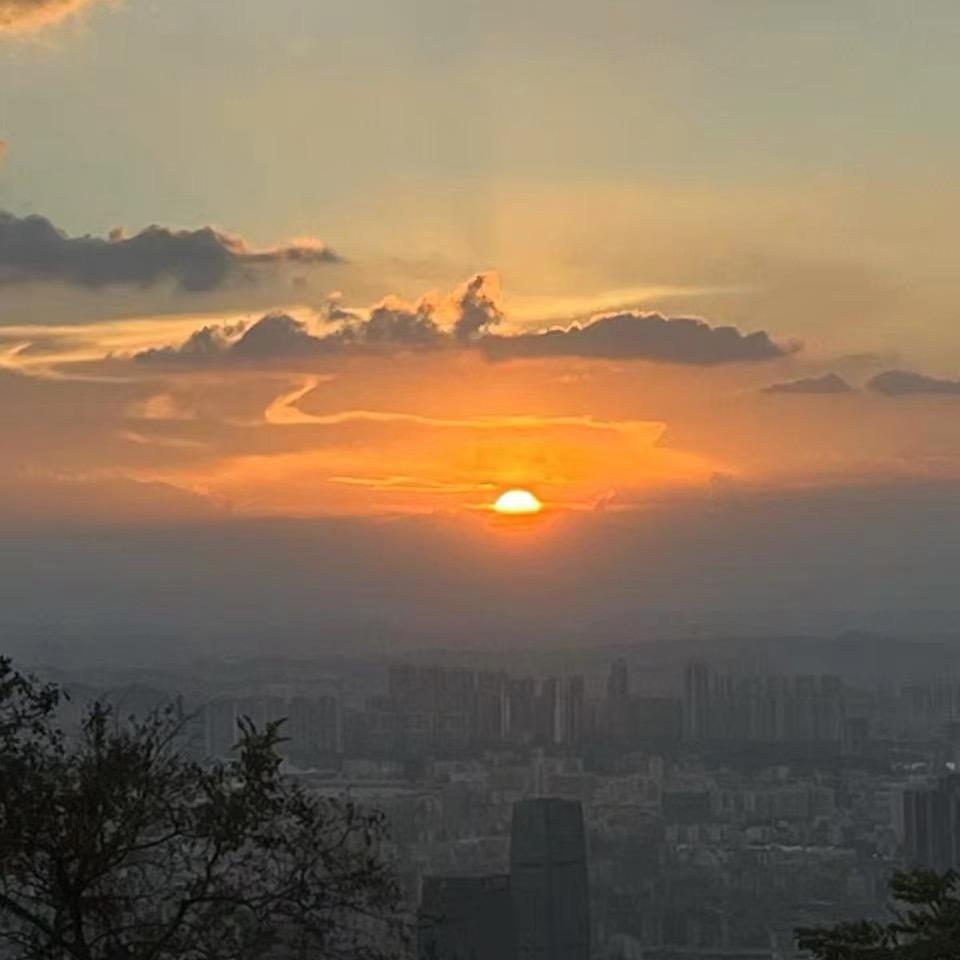 万物同频，你我同道