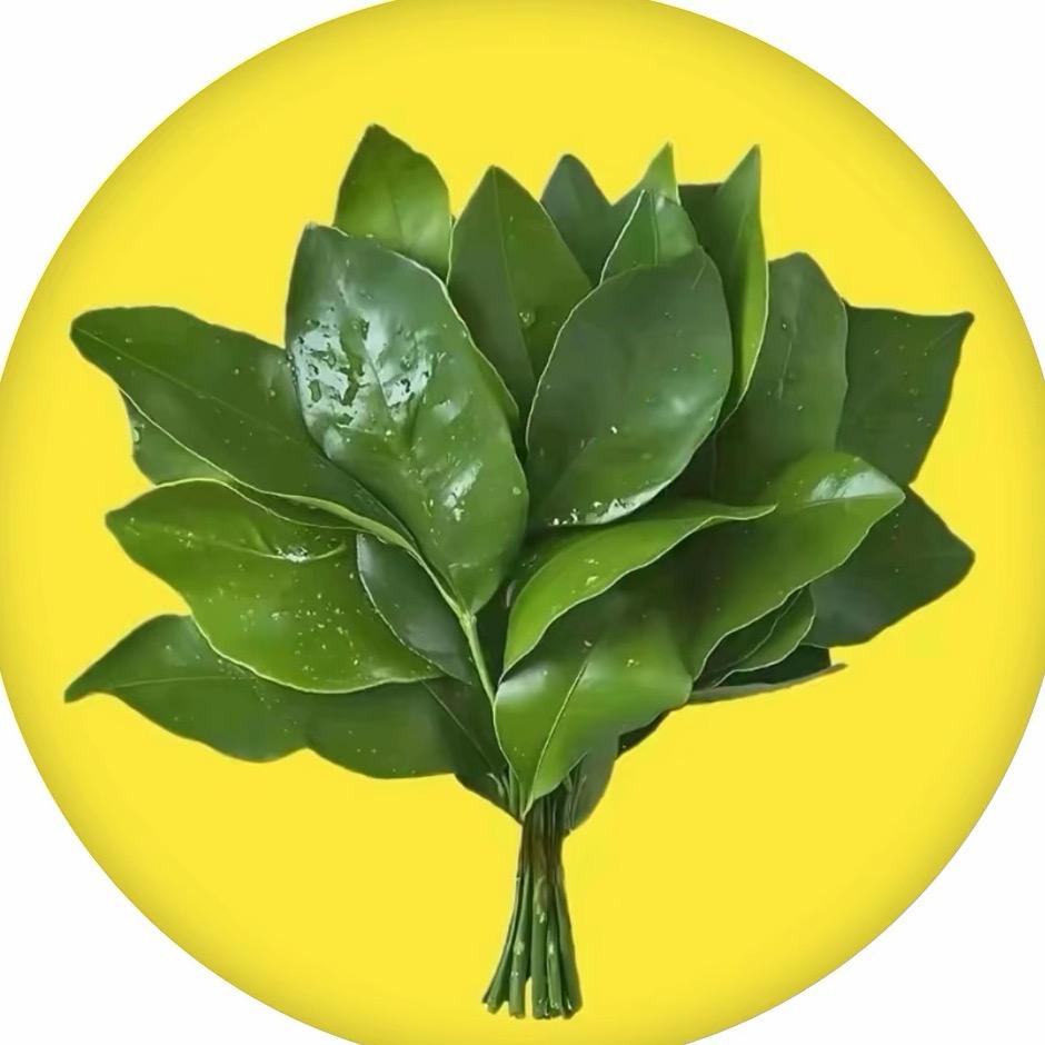 泰康人寿医养养老