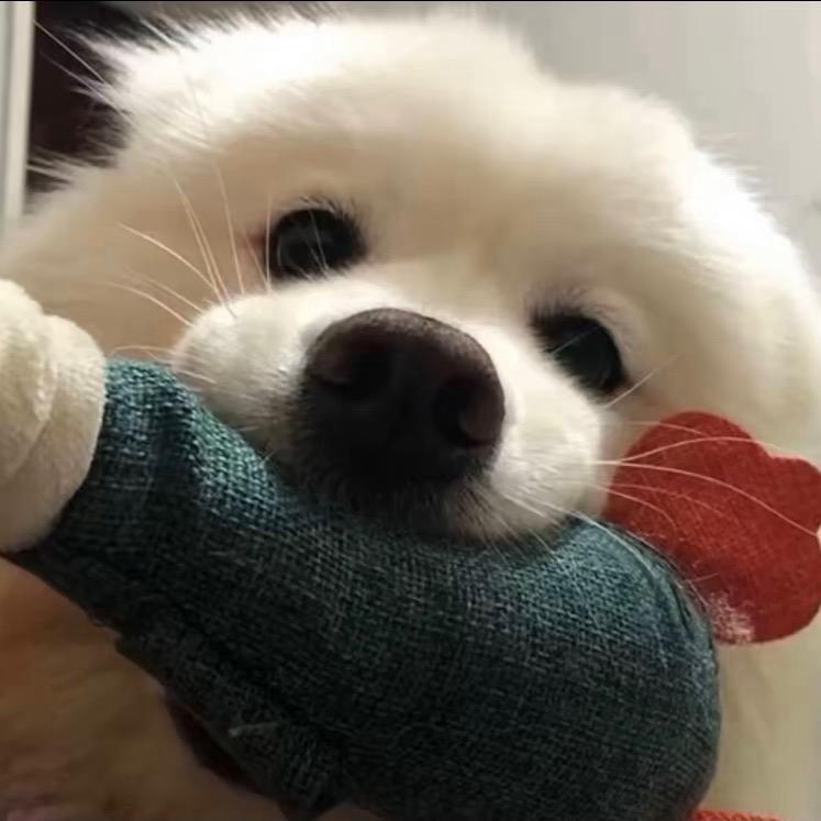 o🥥