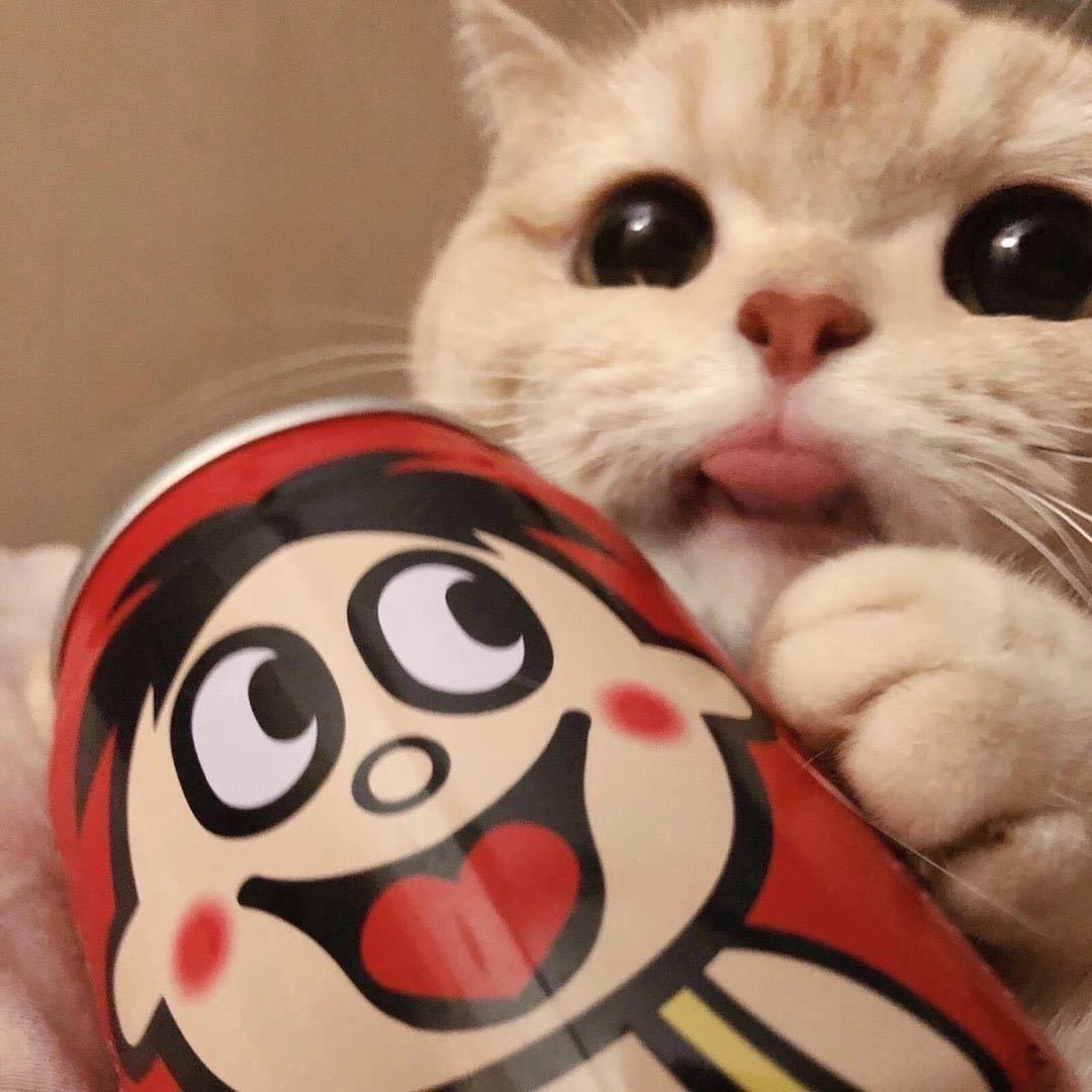 小A