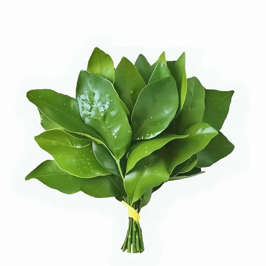 汪清宠物上门喂养遛狗