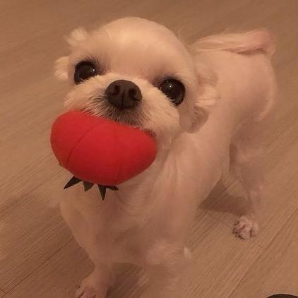 是的好