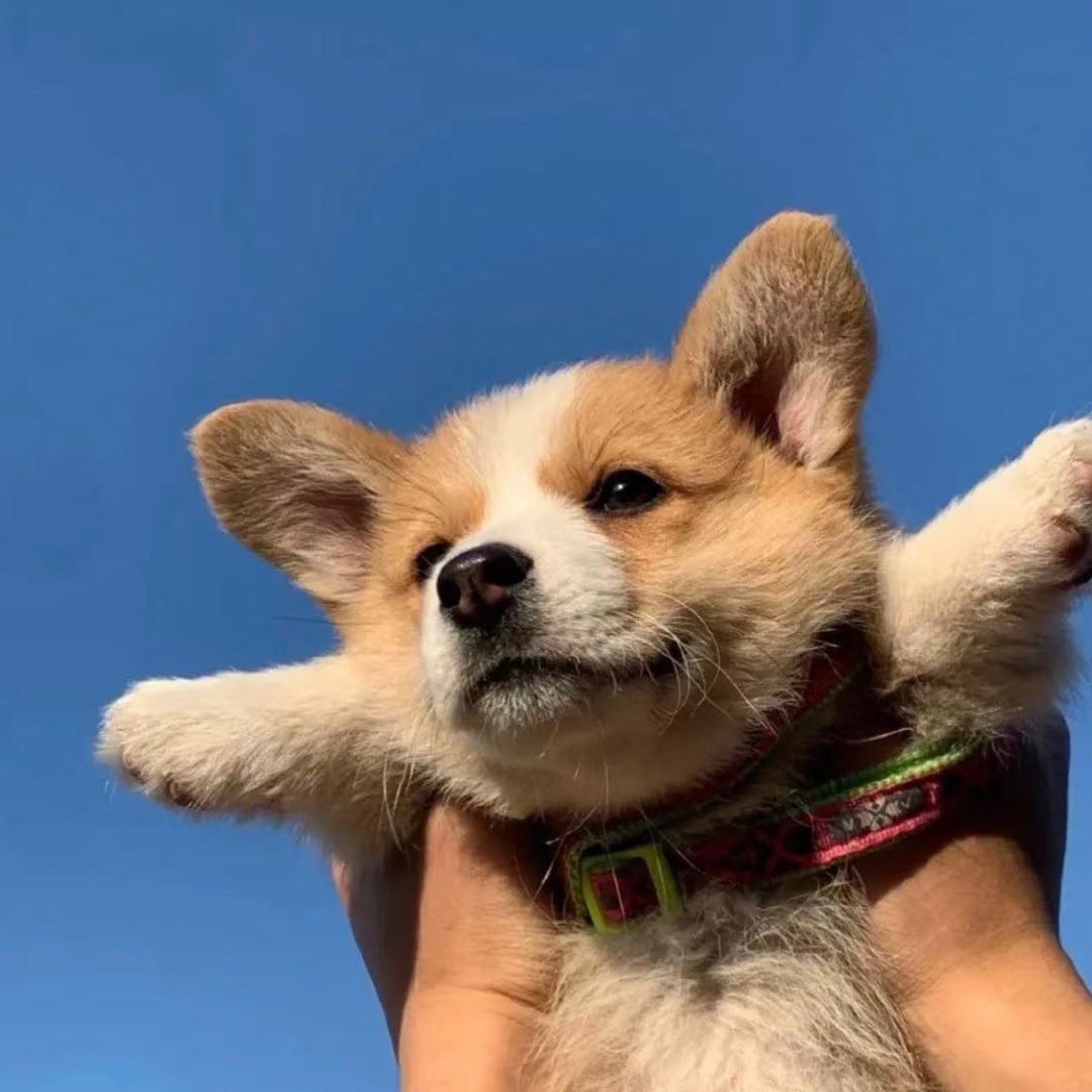 温温潮玩