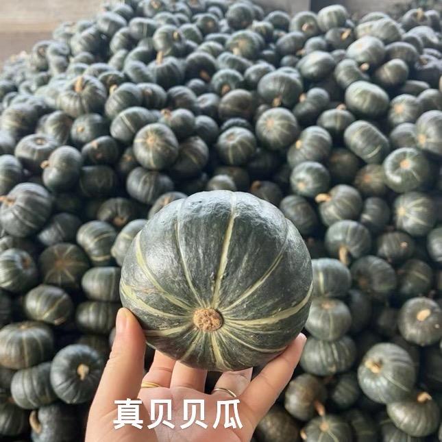 云上优品供应链
