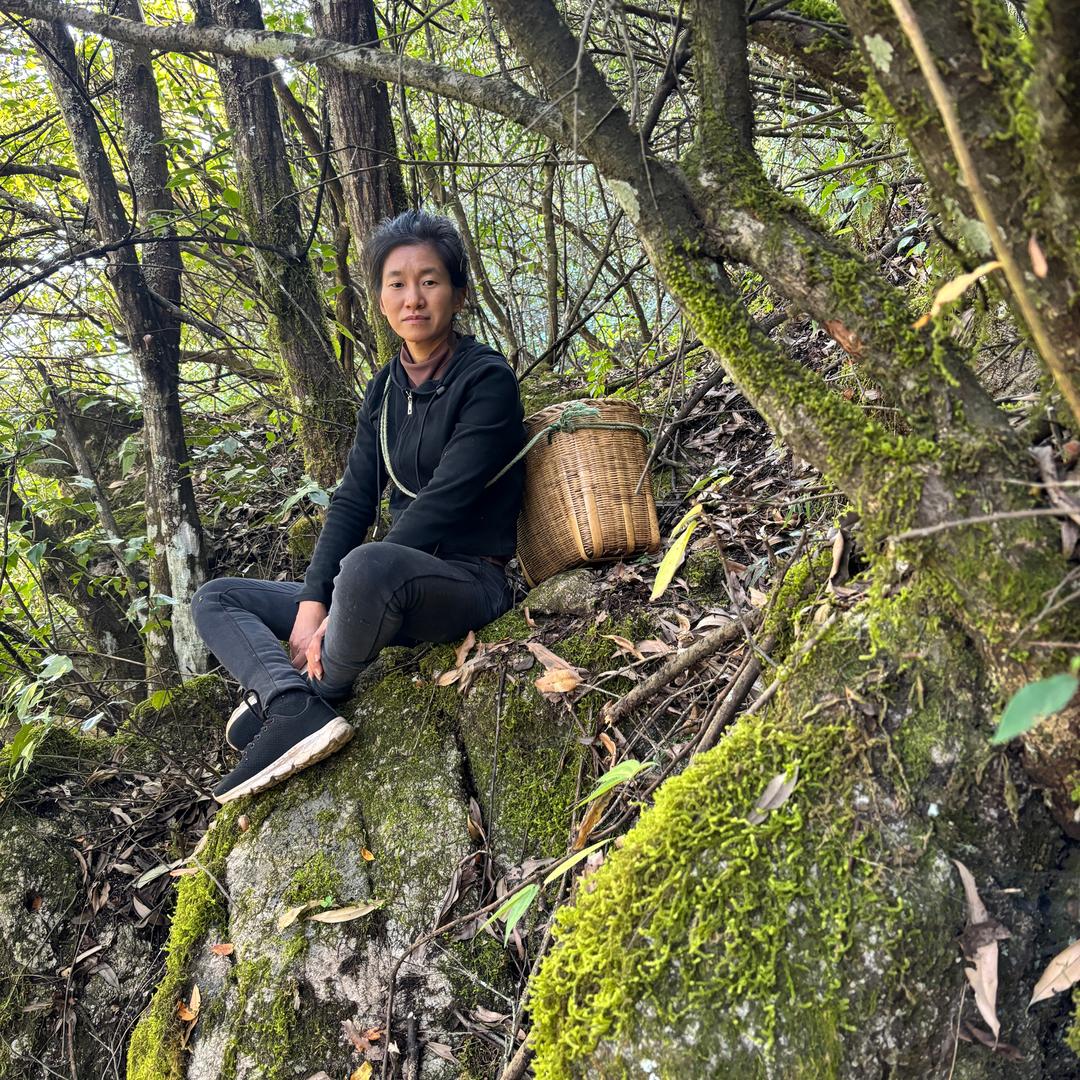 乡村小陈