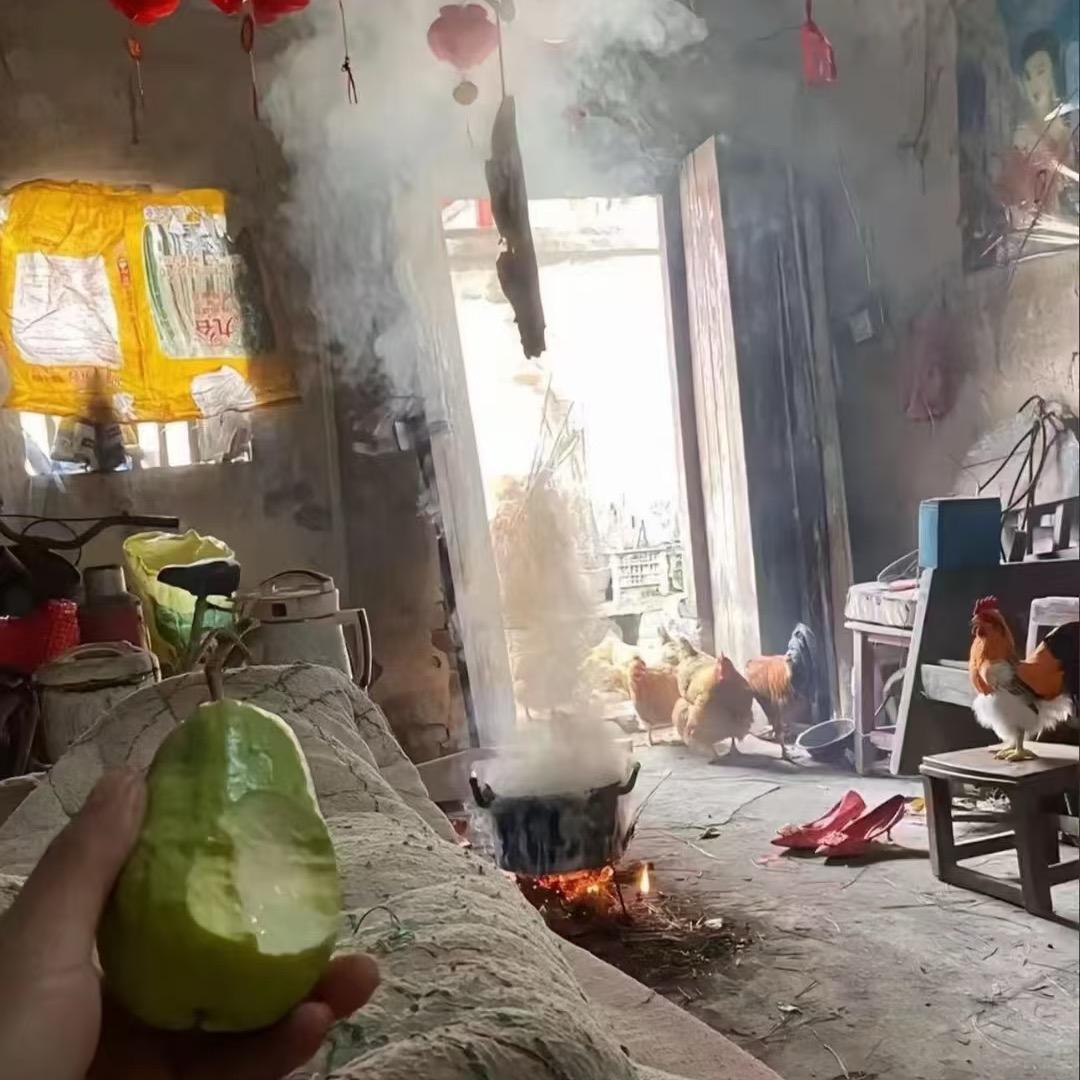 小韦韦