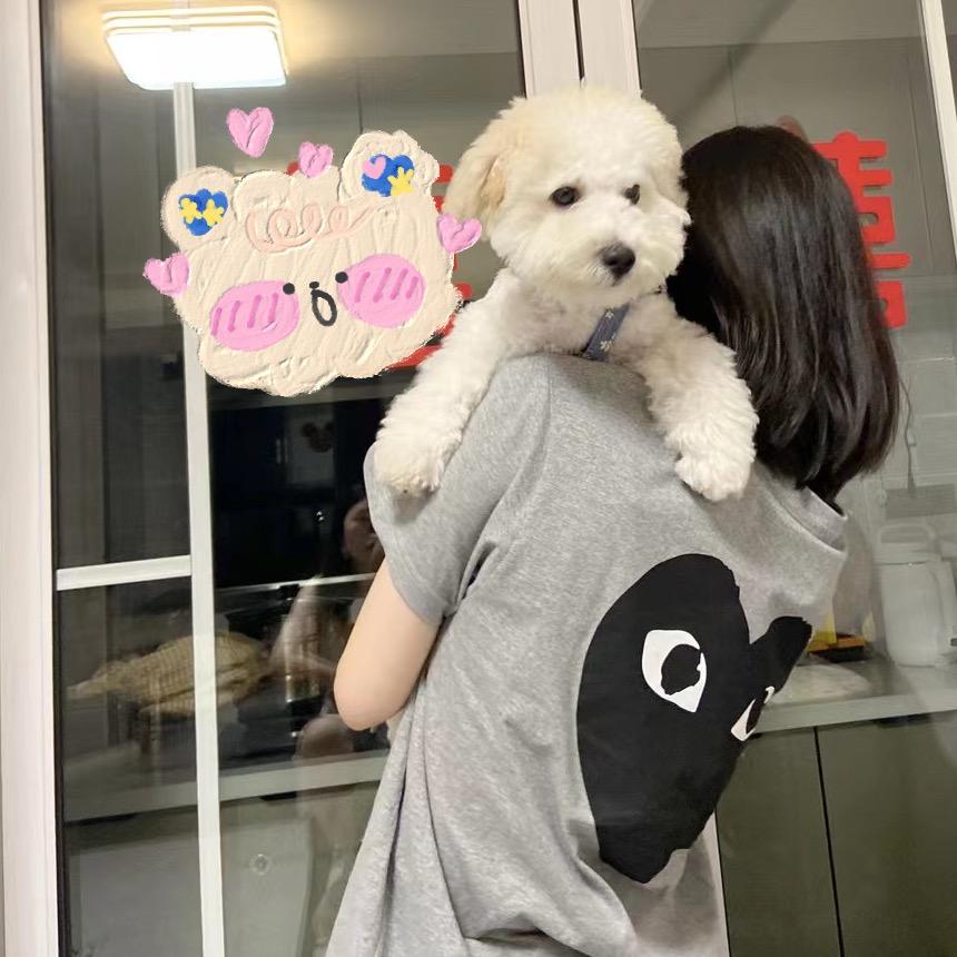 爱吃蛋黄的包子