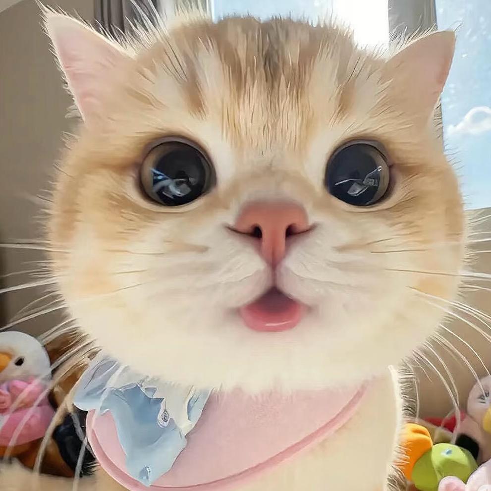 失眠眠小羊