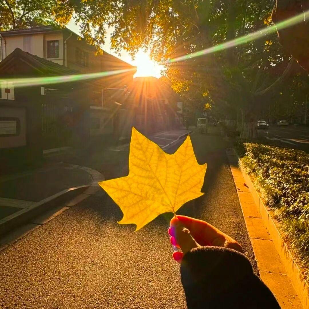 七七四季女装的头像