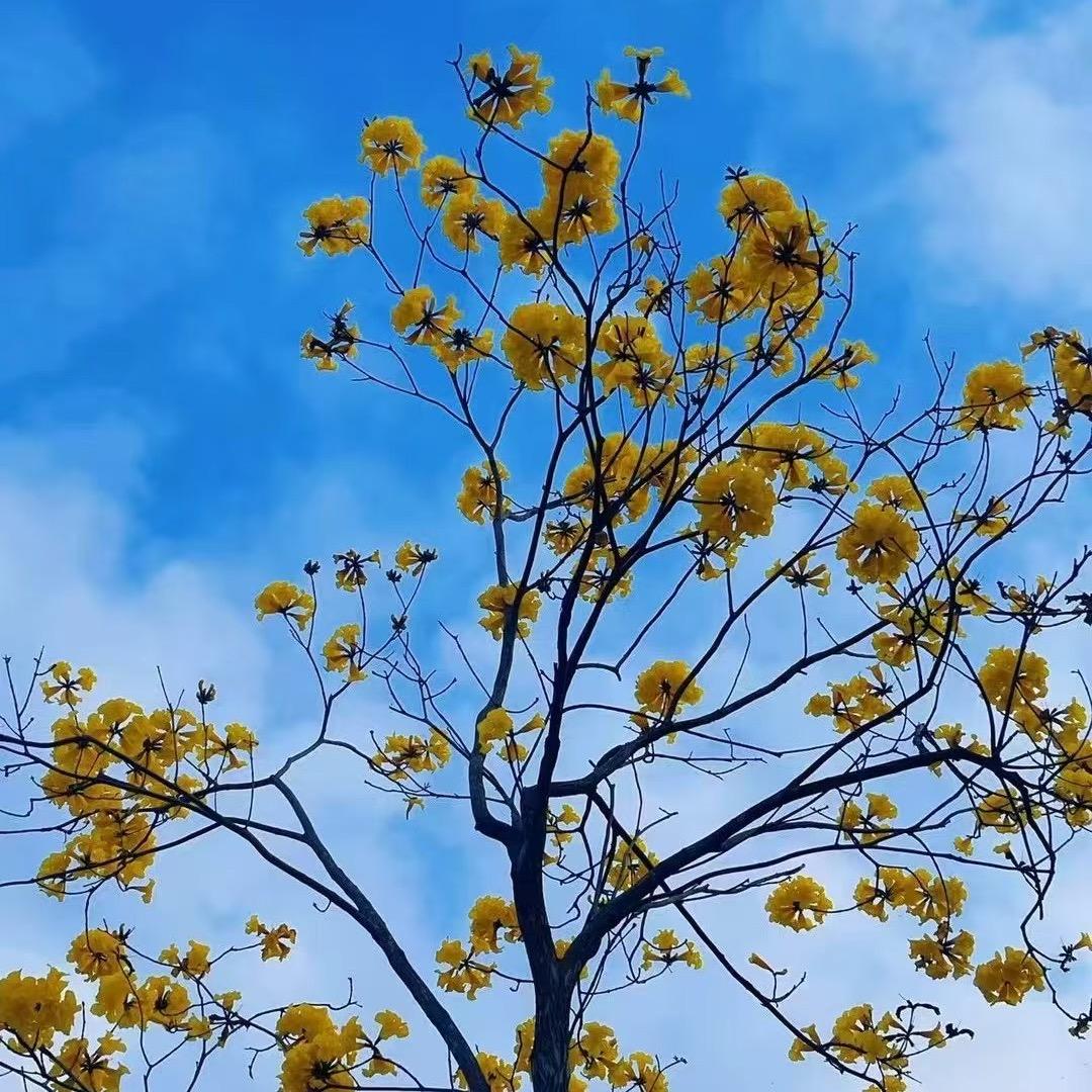 福中福