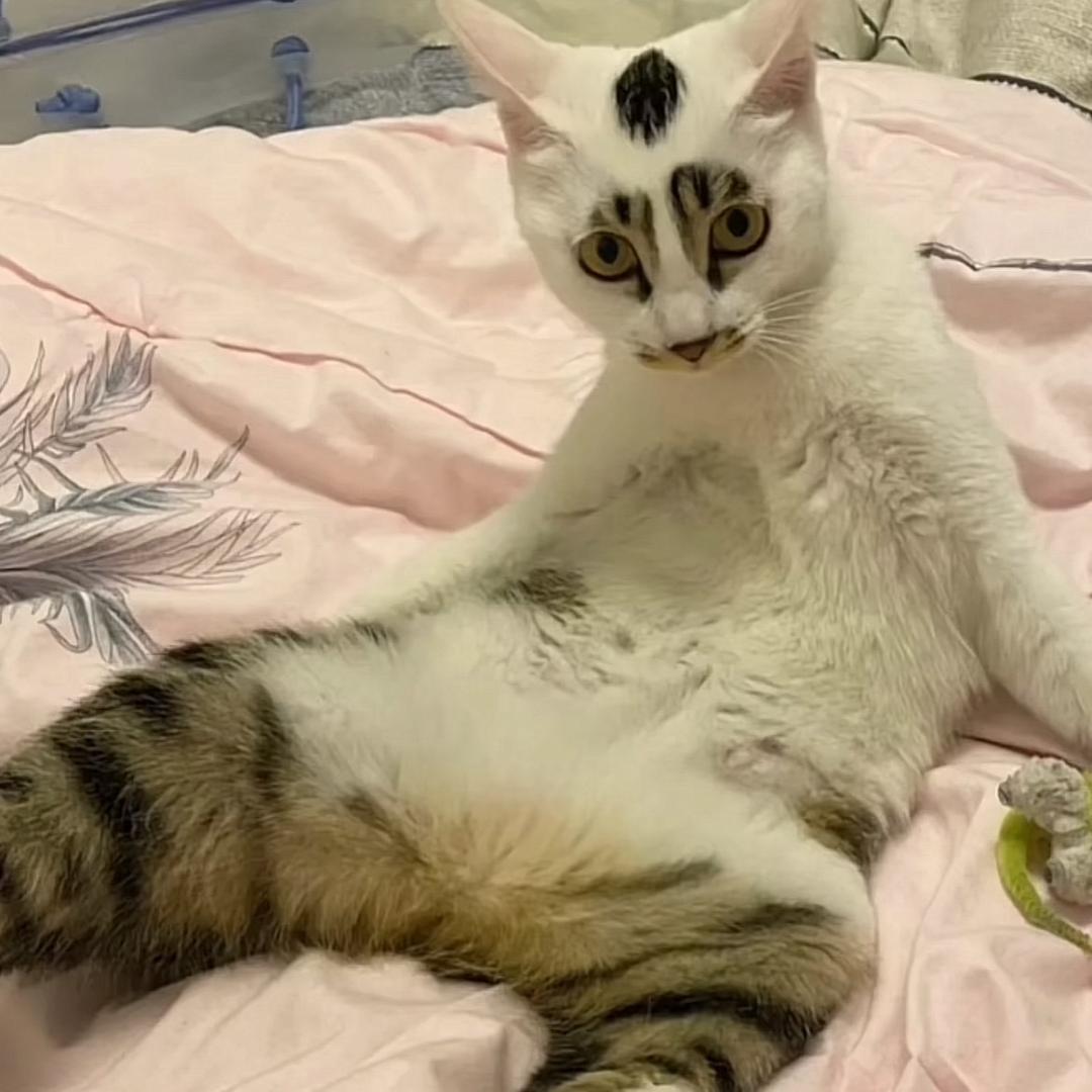 313