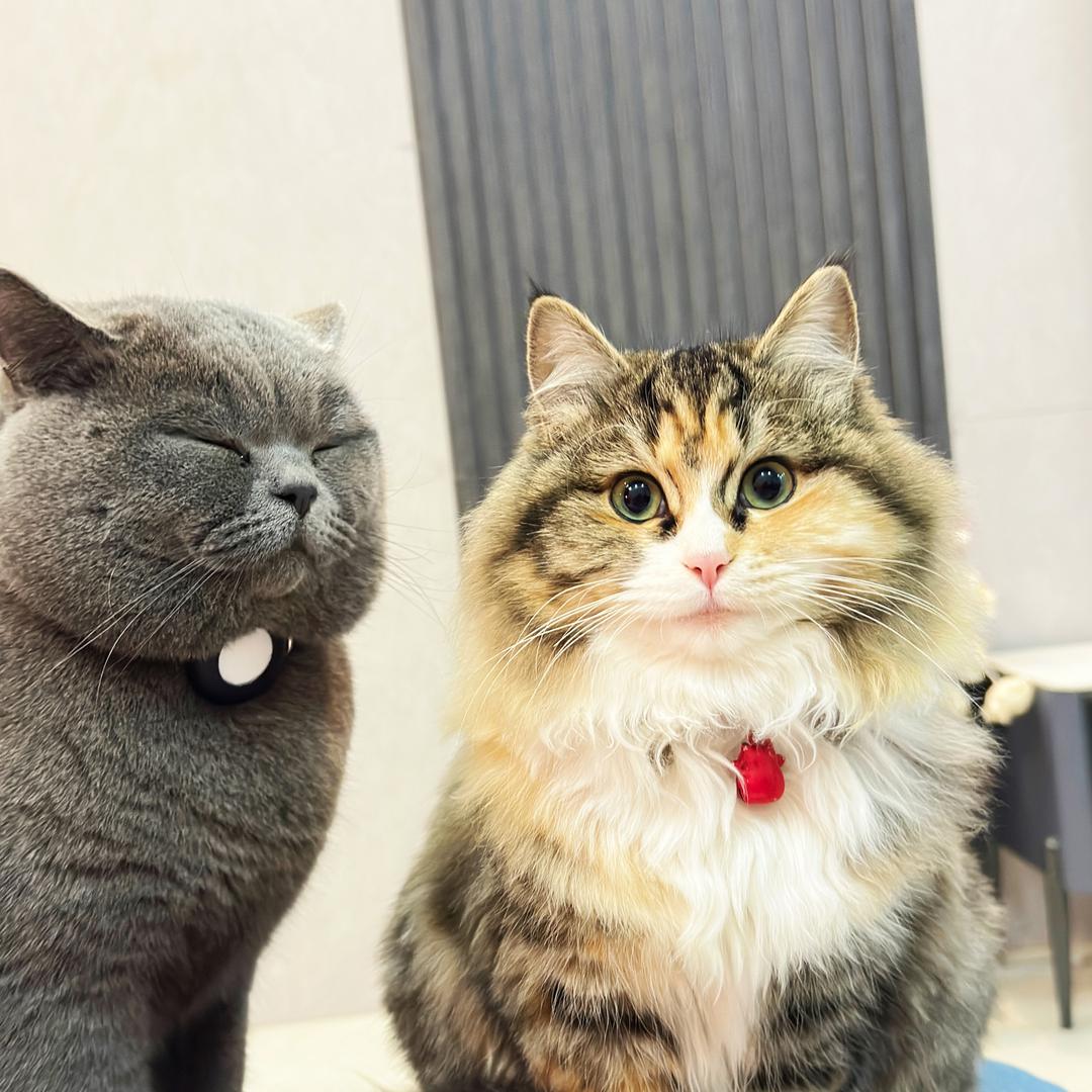 风雨之后，向阳而生