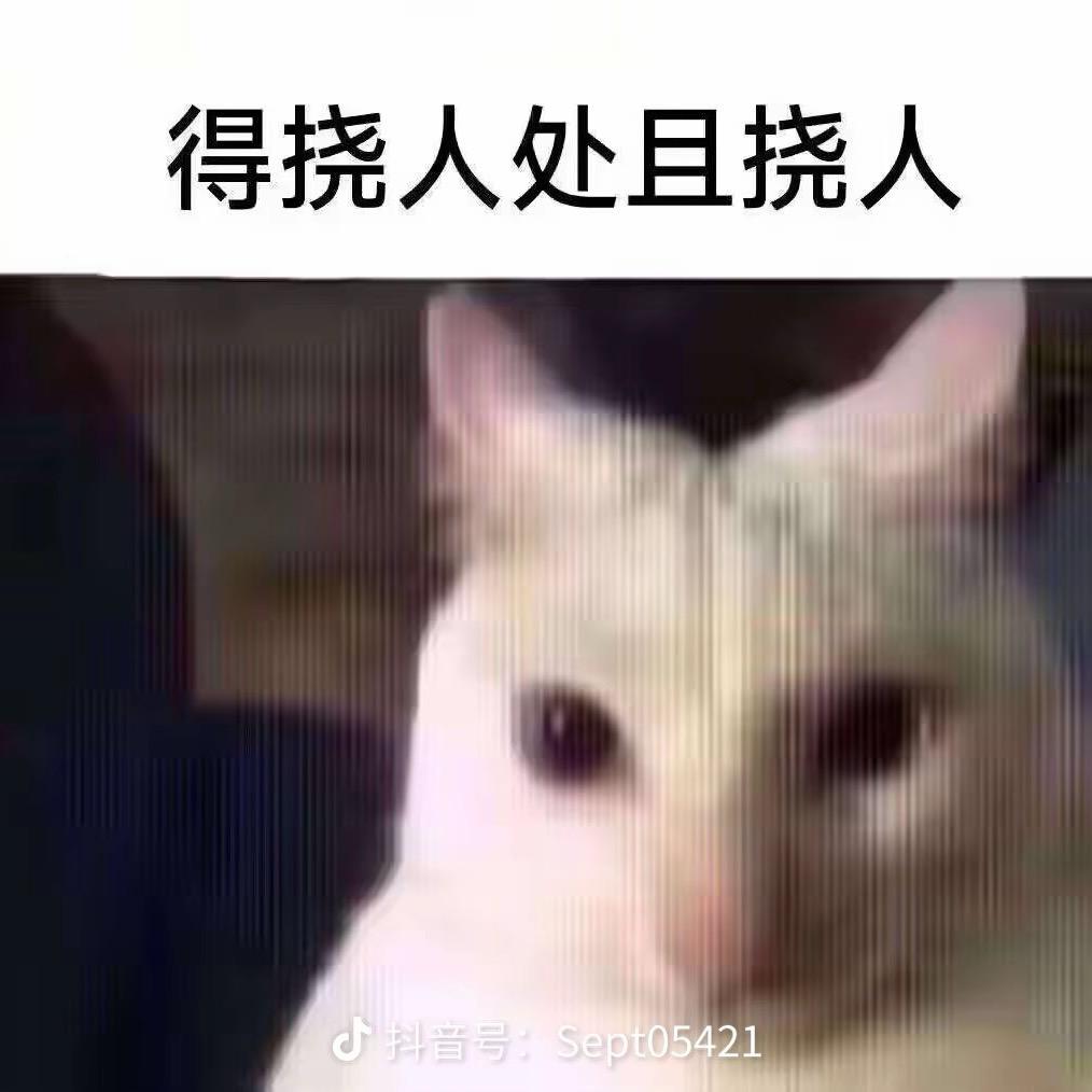谁家小蛋糕
