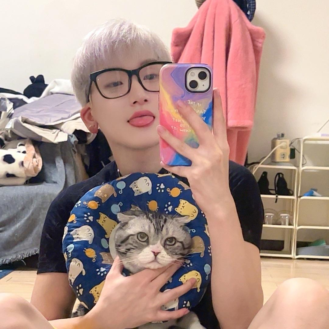 每天睡不邢先生