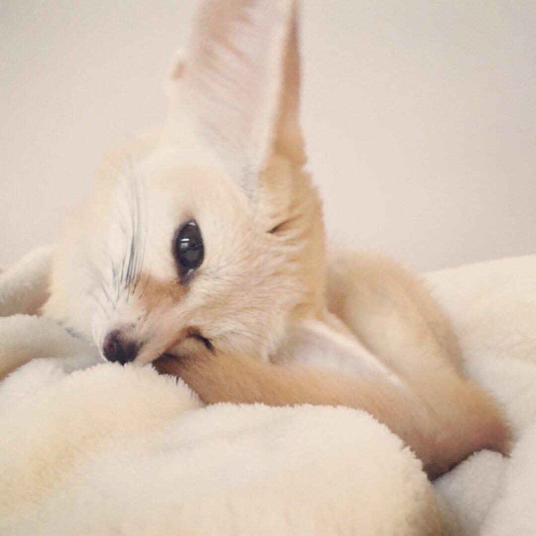 灵韵
