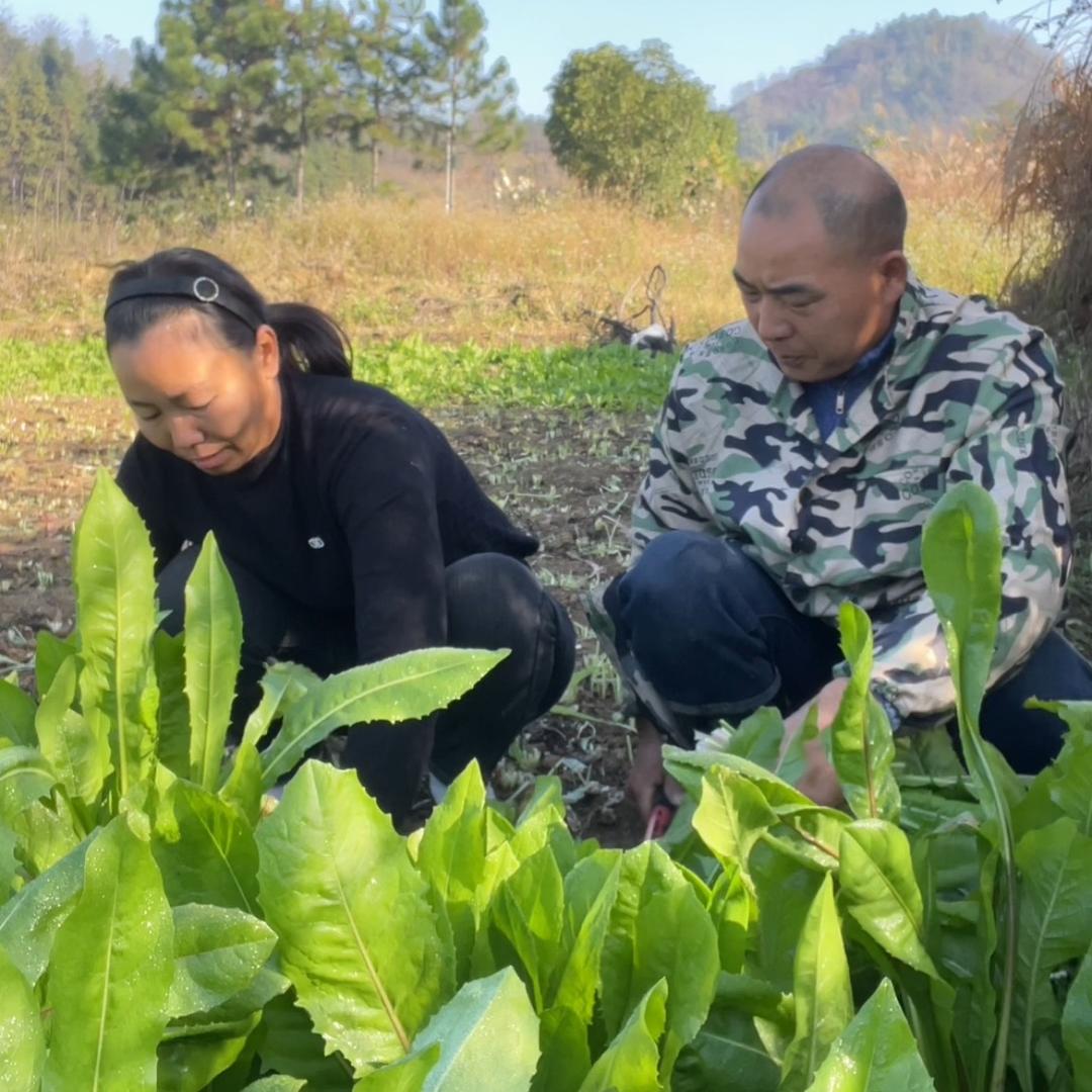 乡愁老周