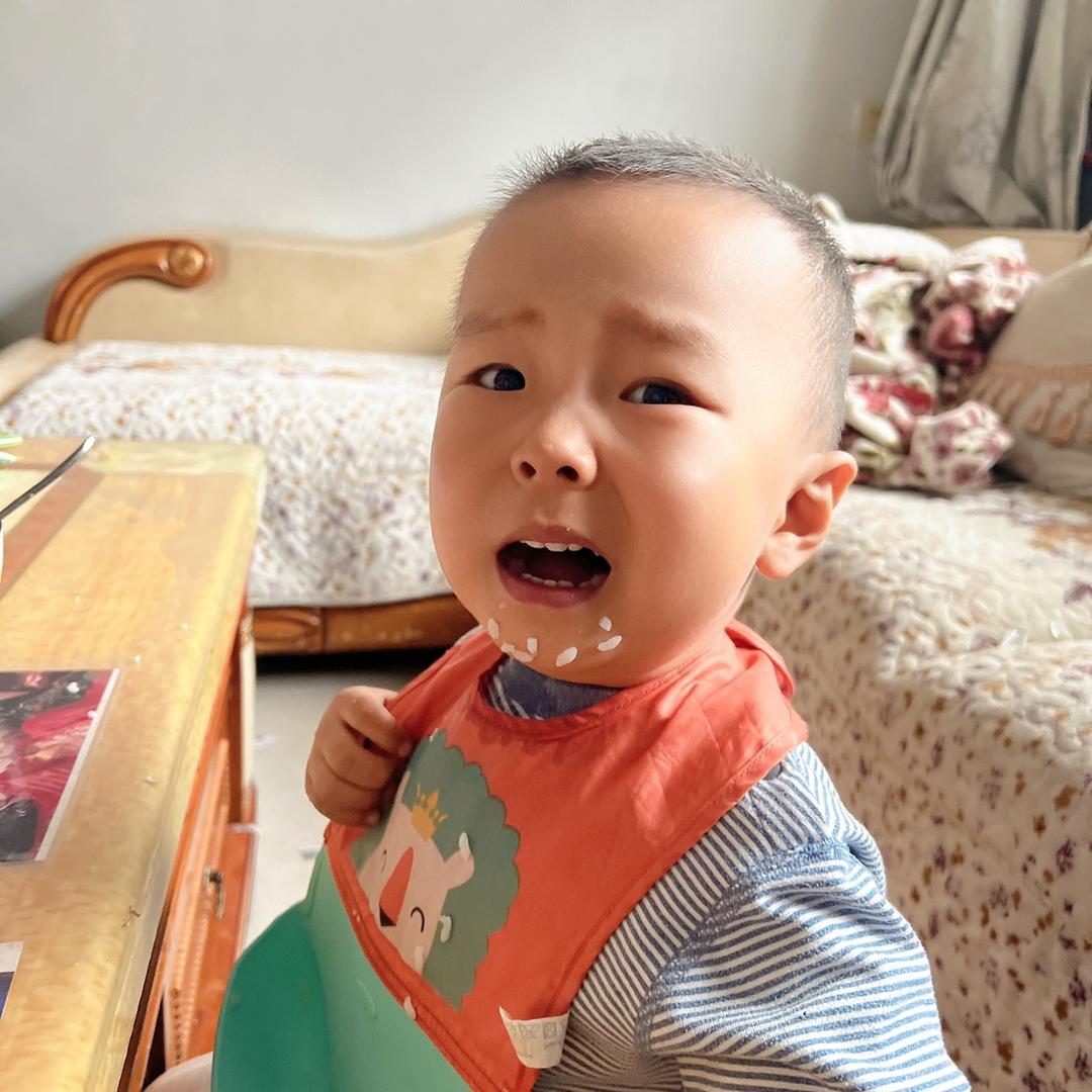 奇仔属鼠