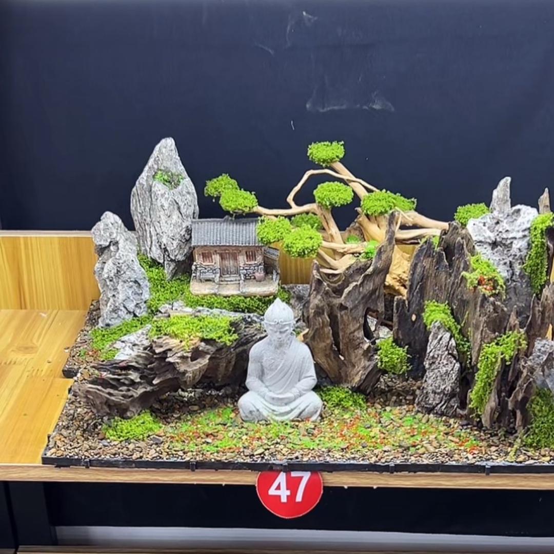 星光村小飞的故事