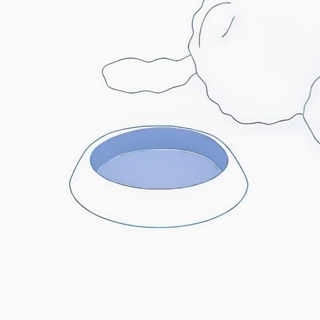 敏龟的感头