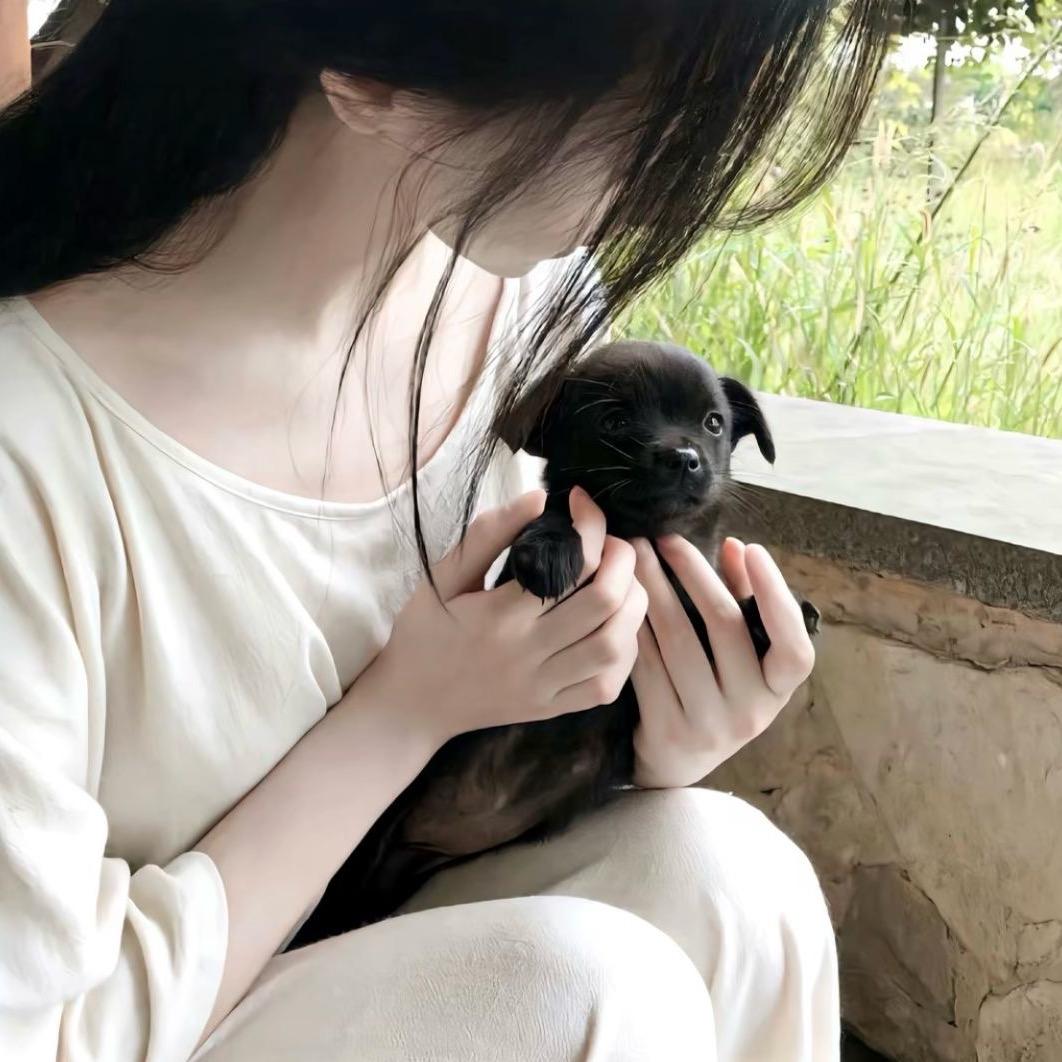 秋烁