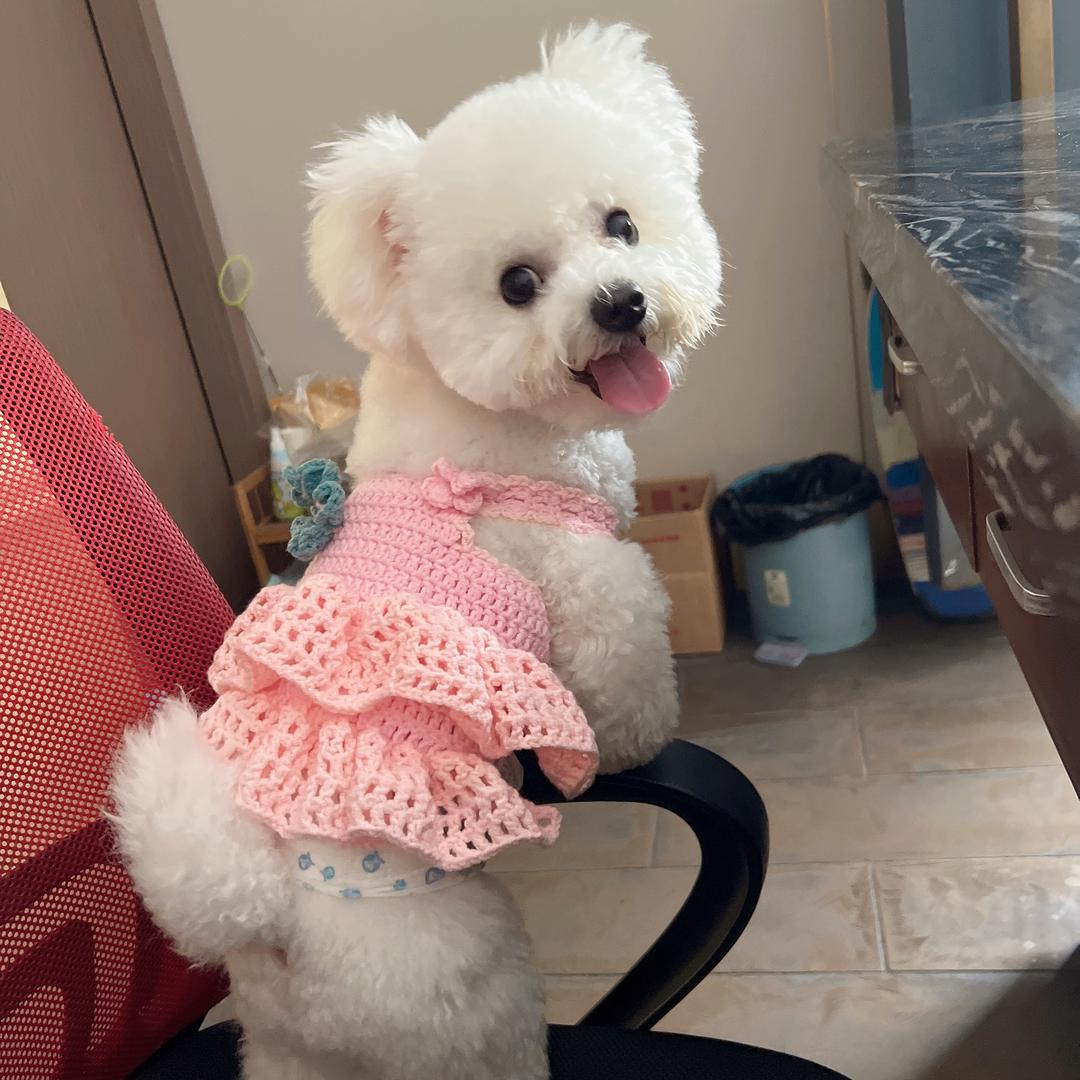 杨甜心