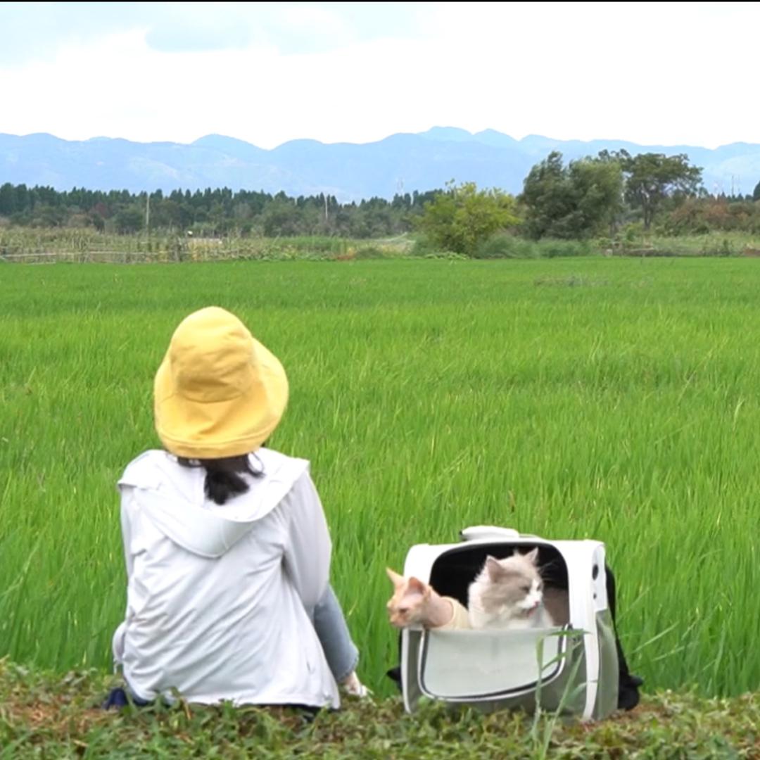 菜菜的旅居日记