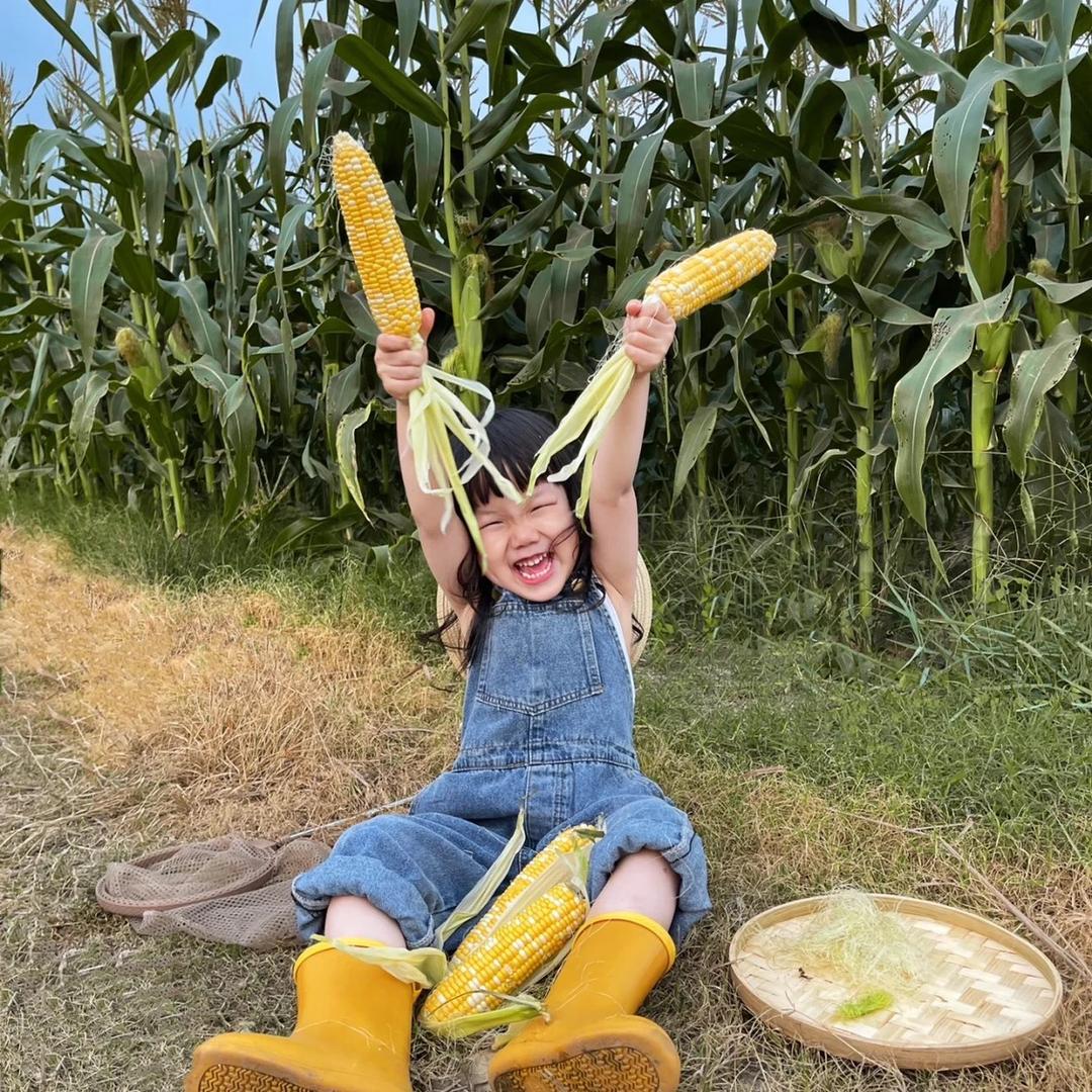 不吃香菜的莱莱