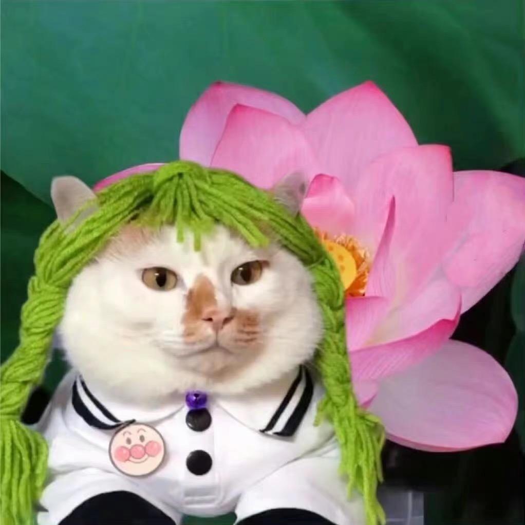 我想我还能在瘦