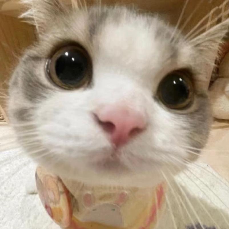 舔狗瑶ⁿ